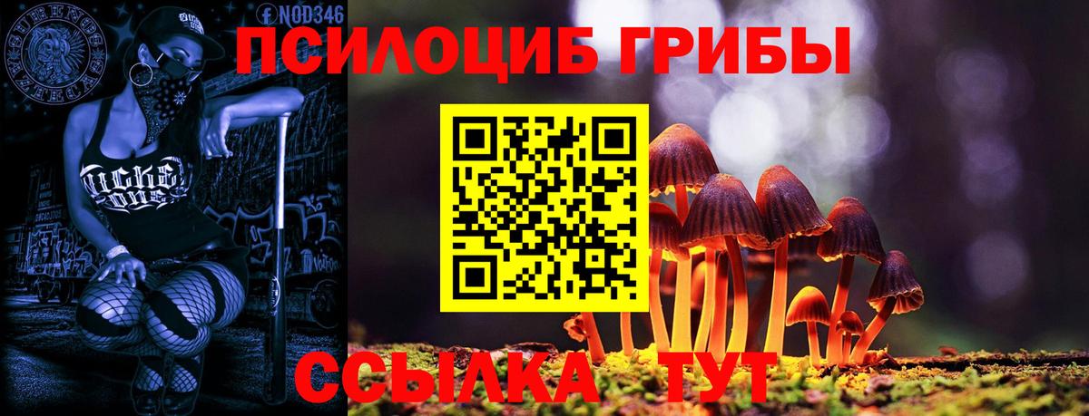 Кириши  Псилоцибиновые грибы GOLDEN TEACHER  Вход с VPN 